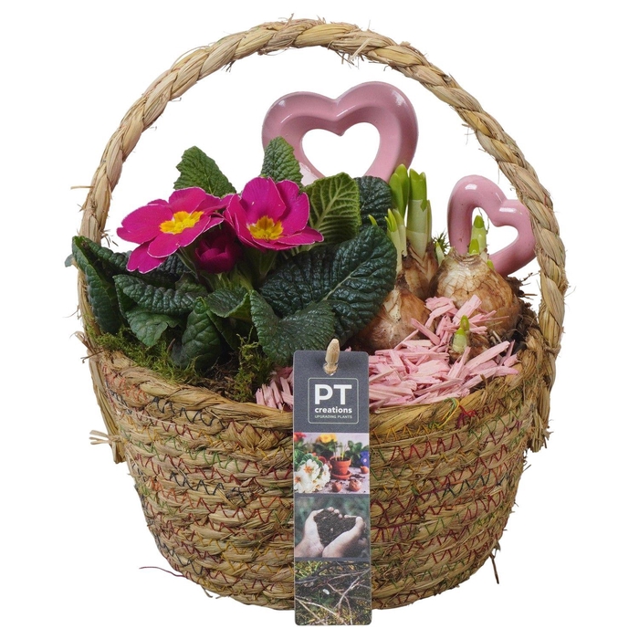 <h4>PTVO3634 Arrangement Valentine Outdoor in rieten mand</h4>