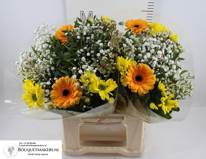 <h4>GEM BOEKET OV</h4>