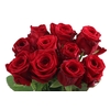 R Gr Red Naomi