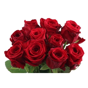 R Gr Red Naomi
