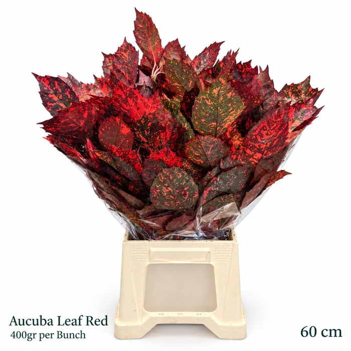 <h4>DECOGROEN OV KLB H%</h4>