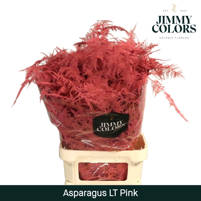 <h4>Aspa lang getopt Pink</h4>