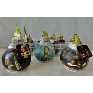 arr8 Hipp Wax Rembrandt Design