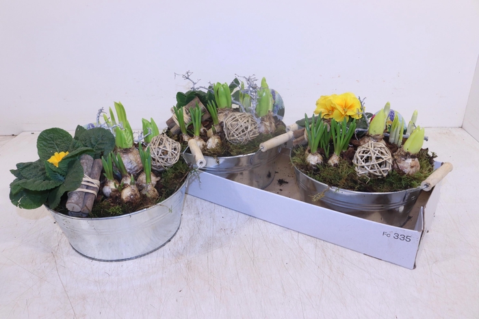 <h4>Arr Pl In Schaal</h4>