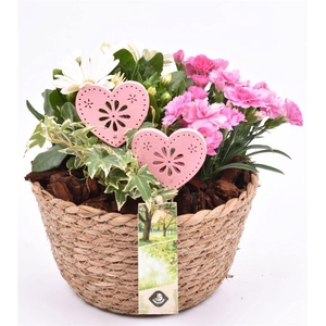 Touwmand naturel 18cm