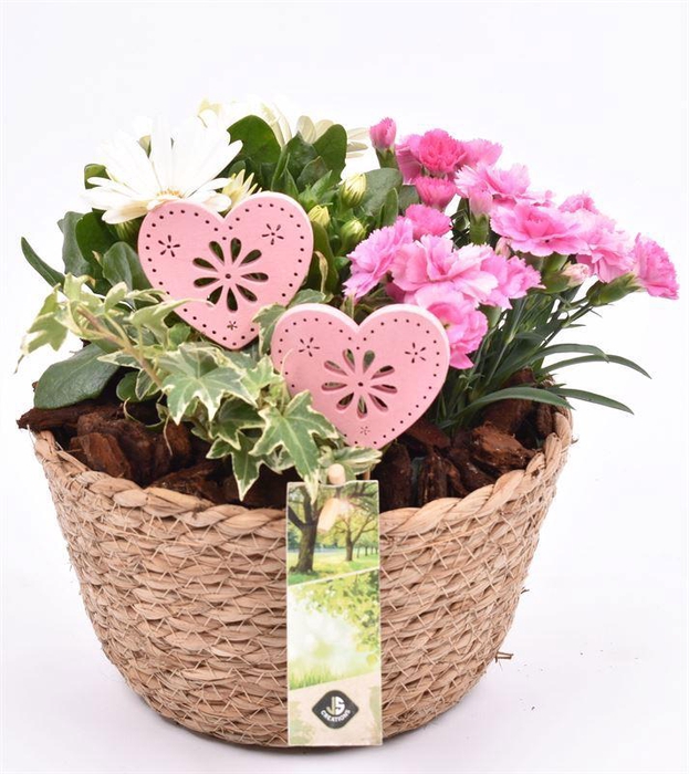 <h4>Touwmand naturel 18cm</h4>