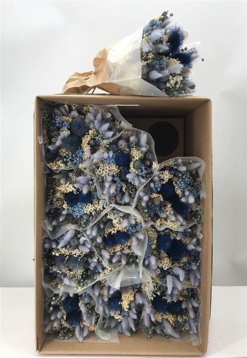 <h4>Dr Bqt Dried Fantasy Blue Naturale</h4>