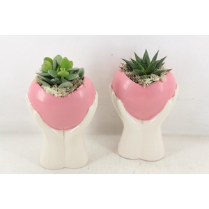 arr3 Demi - Ker. hand met hart