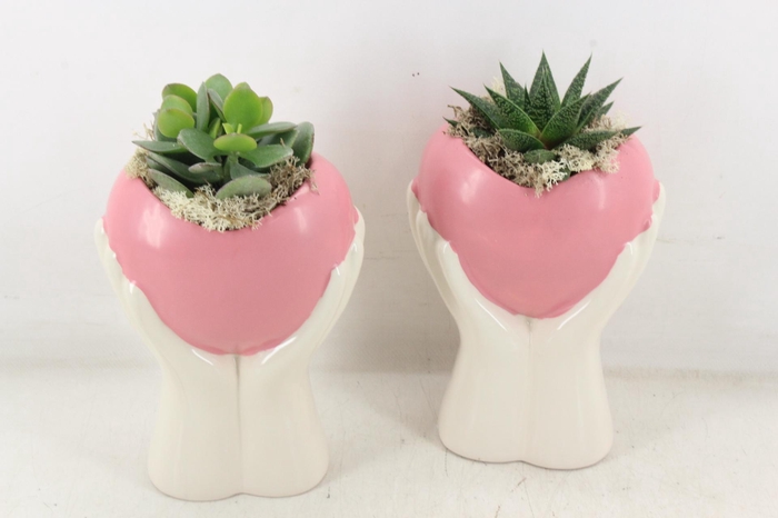 <h4>arr3 Demi - Ker. hand met hart</h4>