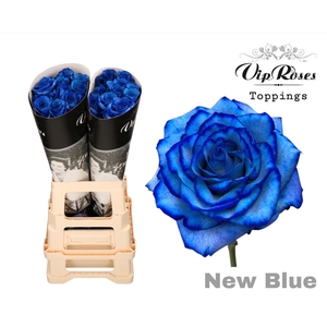 R GR NEW BLUE