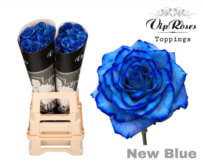 <h4>R GR NEW BLUE</h4>