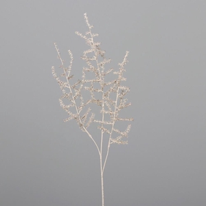 Af Asparagus L74cm Champagne