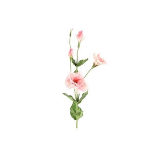 Af Lisianthus L93cm Licht Roze