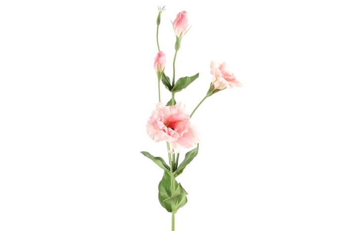 <h4>Af Lisianthus L93cm Licht Roze</h4>