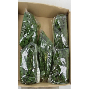 Moss Icelandic 500gr D.Green