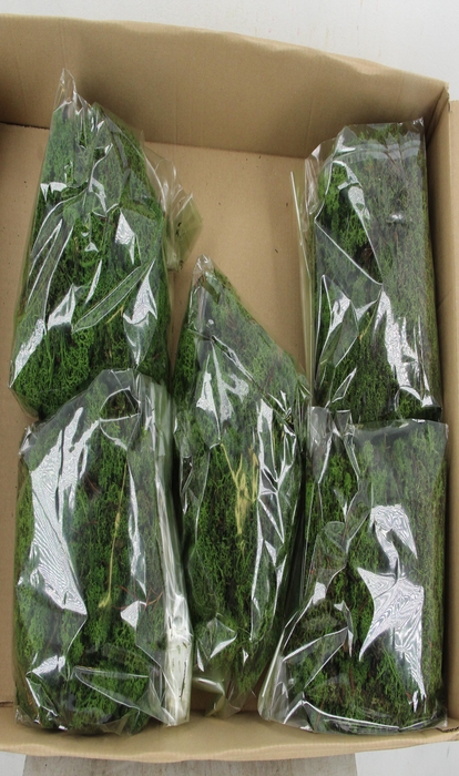 <h4>Moss Icelandic 500gr D.Green</h4>
