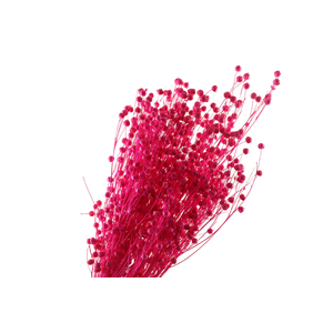 Lino Vlas Cerise