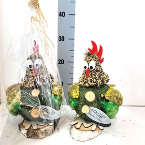 Jip de Kip in Kado Folie