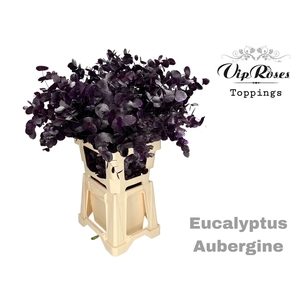 EUCA CINEREA AUBERGINE 300GR