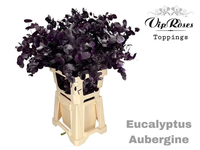 <h4>Euca Cinerea Aubergine 300gr</h4>