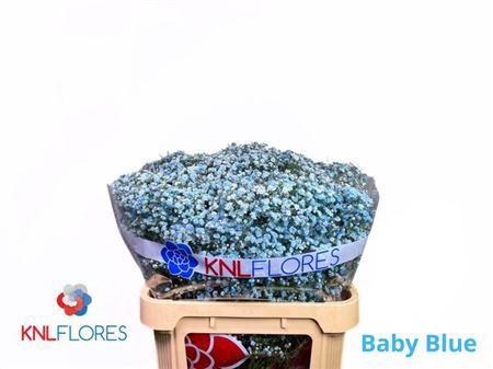 <h4>Gyps Klb H% Blauw</h4>