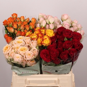 R TR GEMENGD IN FUST