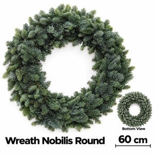 Abies Nobilis Blauw