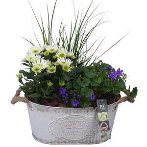 Arr.   Tuinplanten L%