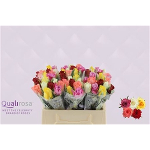 R GR Mix Hapy 35 -in box