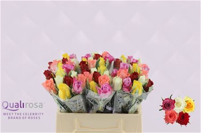 <h4>R GR Mix Hapy 35 -in box</h4>