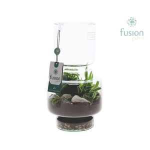 Green Bottle Lotte Medium met arrangement