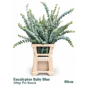 EUC BABY BLUE P BS