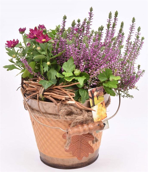 <h4>Zink emmer met herst blad 17 cm</h4>
