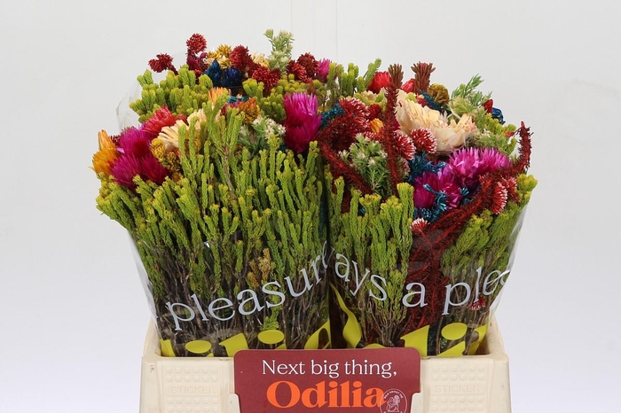 BQ Cape Green Mandarin