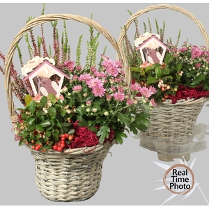 ARR TUINPLANTEN