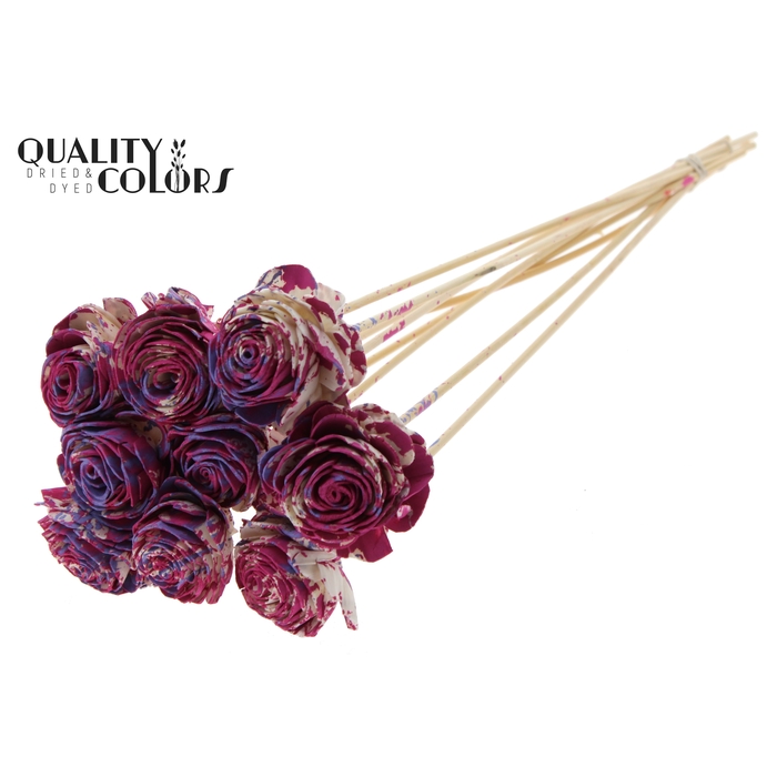 <h4>Shola Beauty Rose 6cm on stem Multicolour Cerise/Milka</h4>