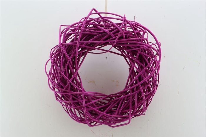 <h4>Wr Cornus Painted Cerise 45cm</h4>