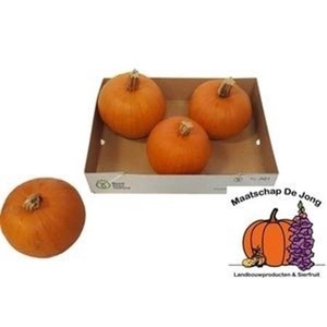 Sier Cuc P Maxima Halloween X9