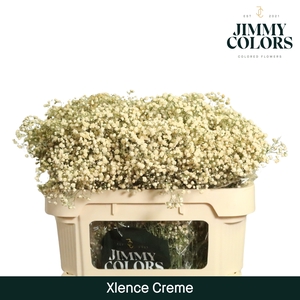 Gyps Xlence l70 Creme