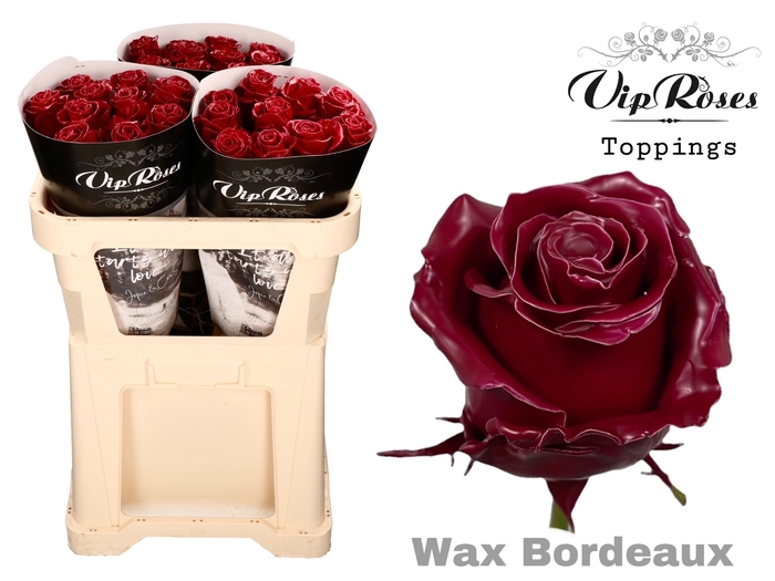 R GR WAX BORDEAUX (60 cm)