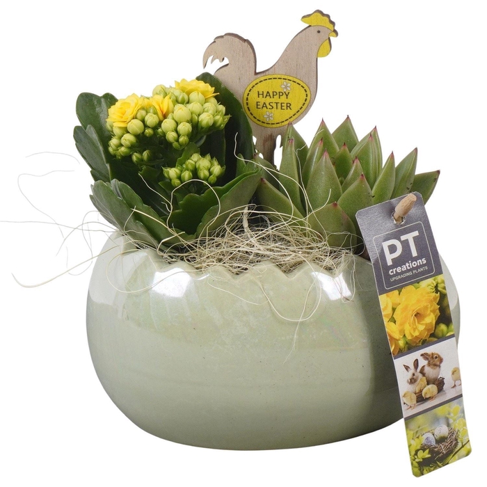 <h4>Arr. Pasen L%</h4>