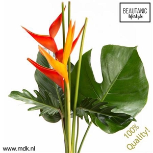 Heliconia Bouquet Amor X3 MDK