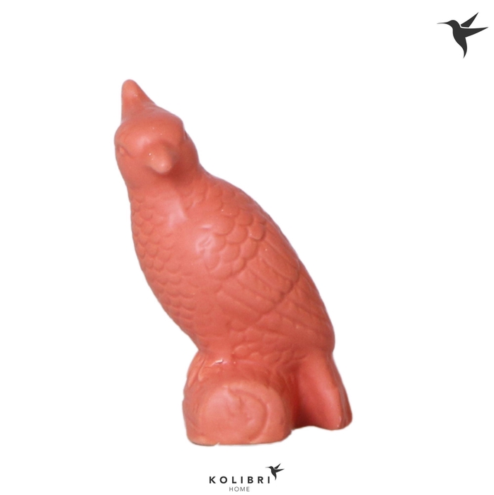 <h4>Kolibri Home Cockatoo terracotta</h4>
