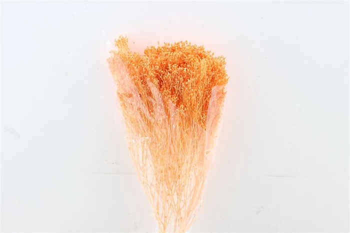 <h4>Dried Brooms Salmon Bunch</h4>