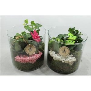 4477 CILINDERBREED RO/WIT