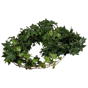 Hedera Rank