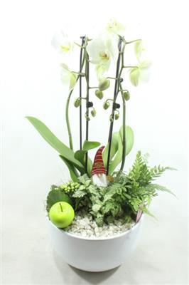 <h4>1090 Cascade WHITE</h4>