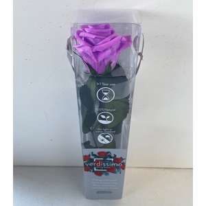 Roos op steel mini bright lilac plexi