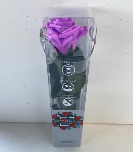 Roos op steel mini bright lilac plexi