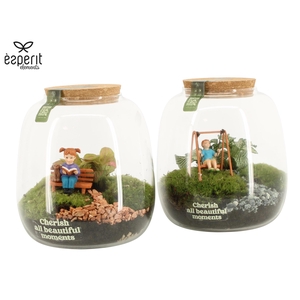 90982: Little Green Moments Terrarium
